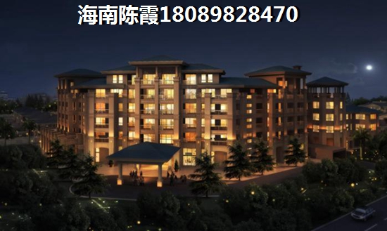 乐城国际商贸城 一居  户型图